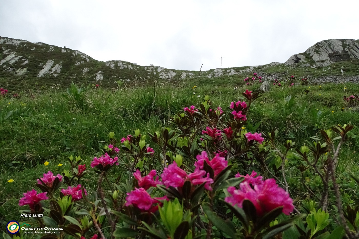 79 Risalgo alla croce del Passo di Tartano.JPG